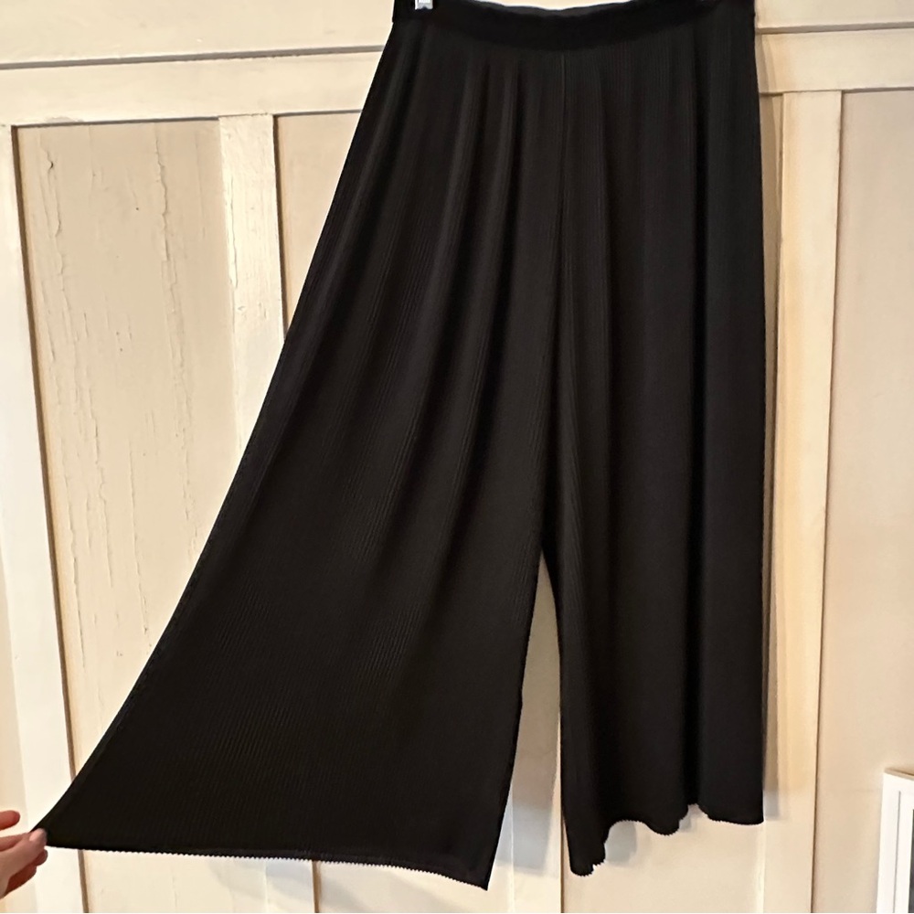 Zara Black Elastic Waist wide Leg Plissè Pants
